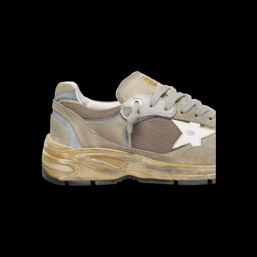 Golden Goose Dad-Star In Dove-Gray Suede And Silver Mesh With White Leather Star - HypeFly India View 5