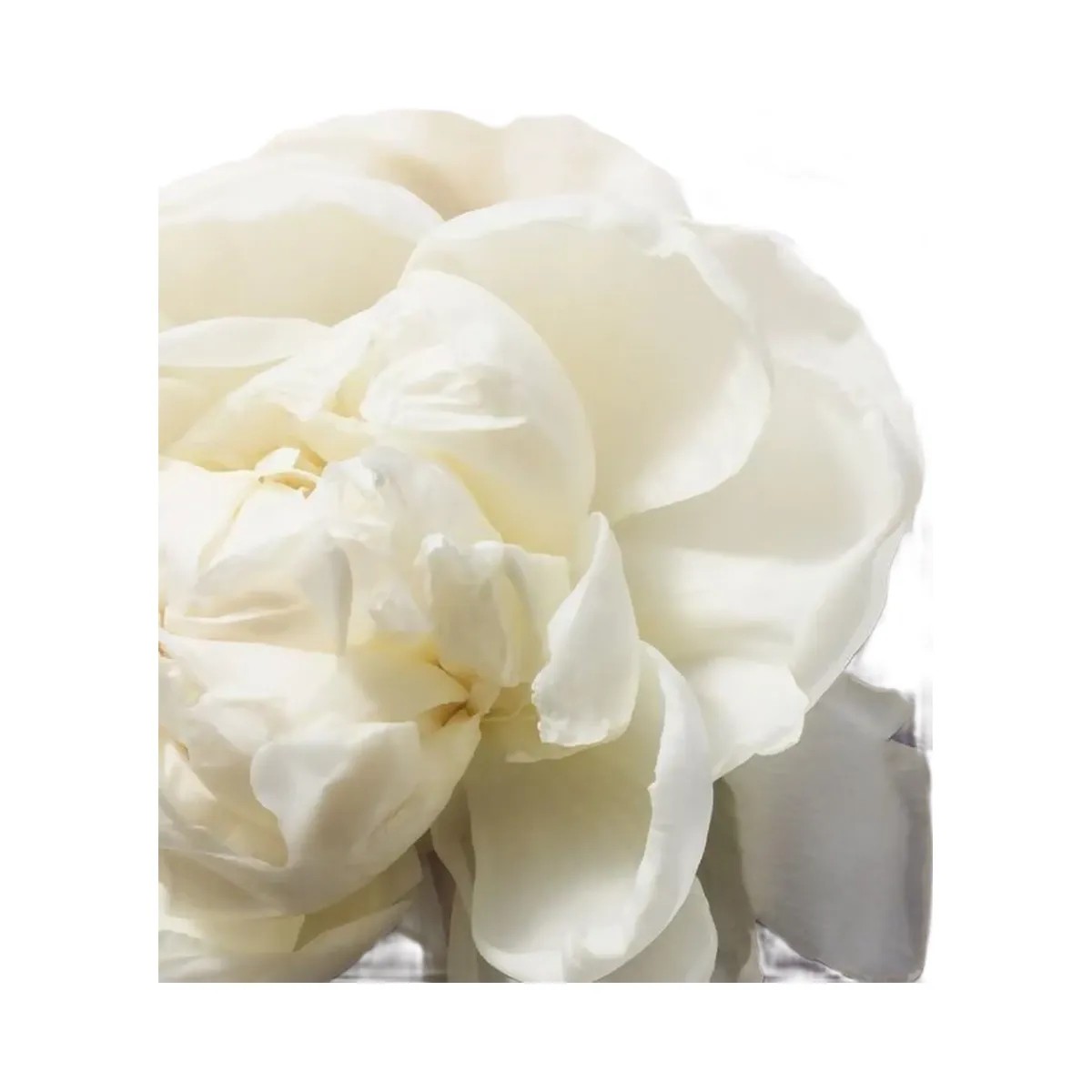 TATCHA The Silk Peony Line-Smoothing Eye Cream - HypeFly India View 6