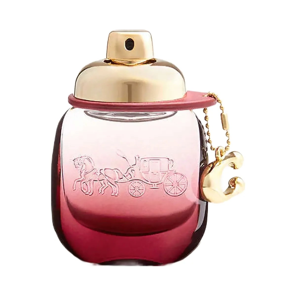 Coach Wild Rose Eau De Parfum 30 Ml Multi - HypeFly India View 1