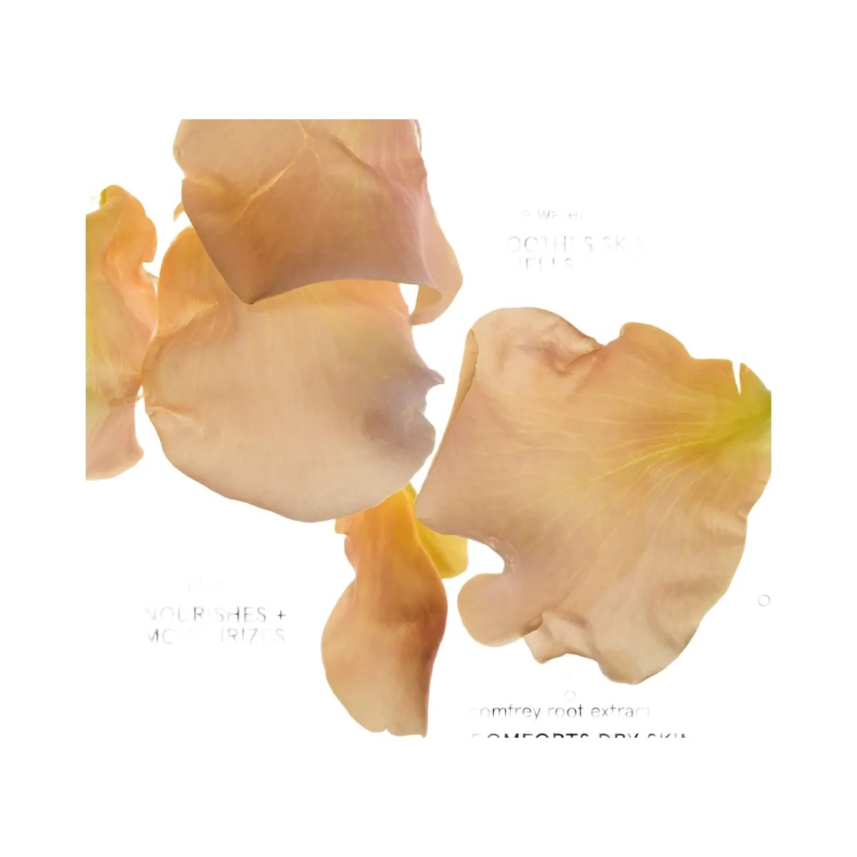 Glossier Milky Jelly Gentle Gel Face Cleanser - HypeFly India View 4