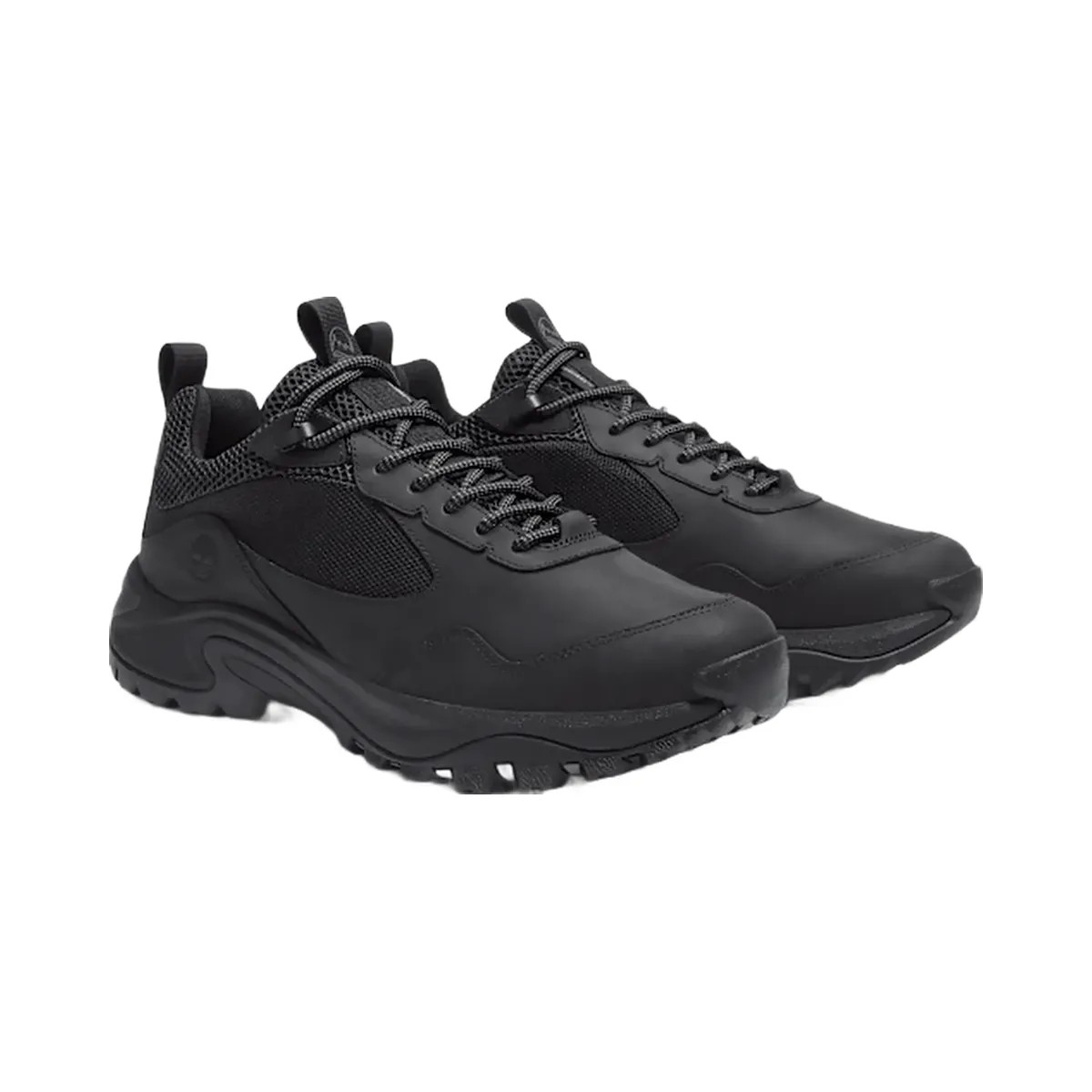 Timberland Mt Maddsen Peak Low Waterproof Hiking Boot Black Full-Grain Men'S - HypeFly India View 1