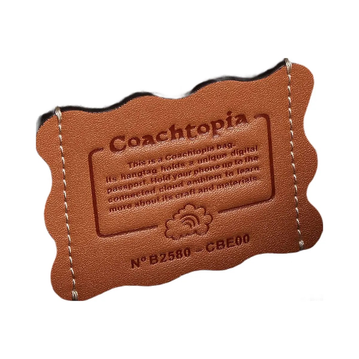 Coach Alter/Ego Slouchy Shoulder Bag In Checkerboard Upcrafted Leather Black - HypeFly India View 2