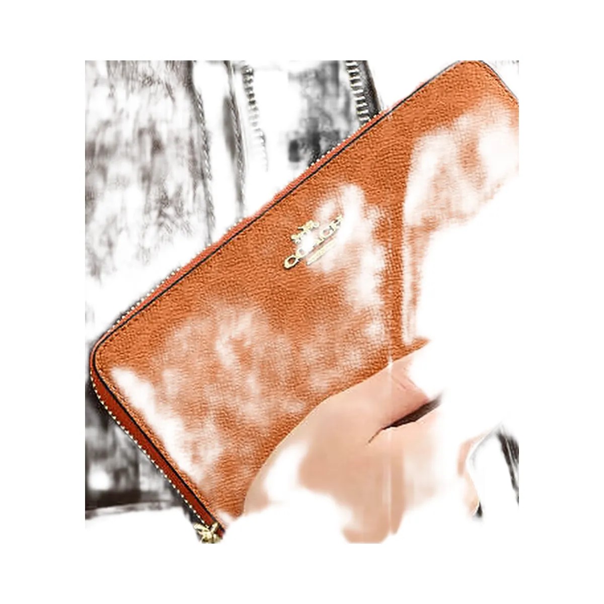 Coach Long Zip Around Wallet In Signature Canvas Signature Canvas-Im-Bright Canyon - HypeFly India View 1