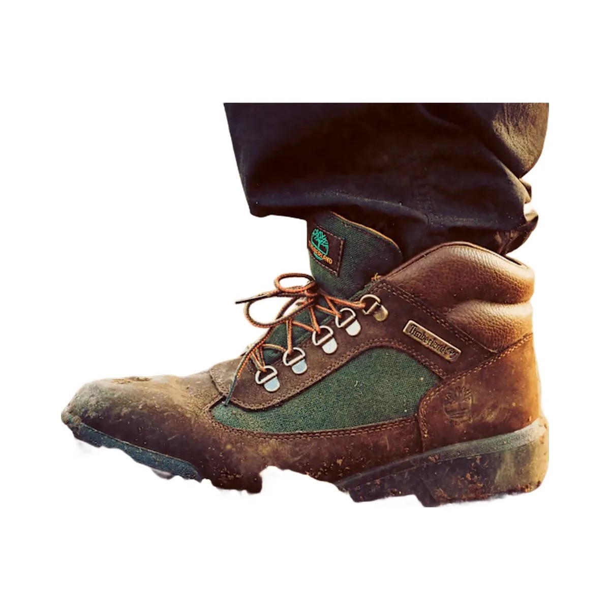 Timberland Waterproof Field Boot Chocolate Brown Men'S - HypeFly India View 2
