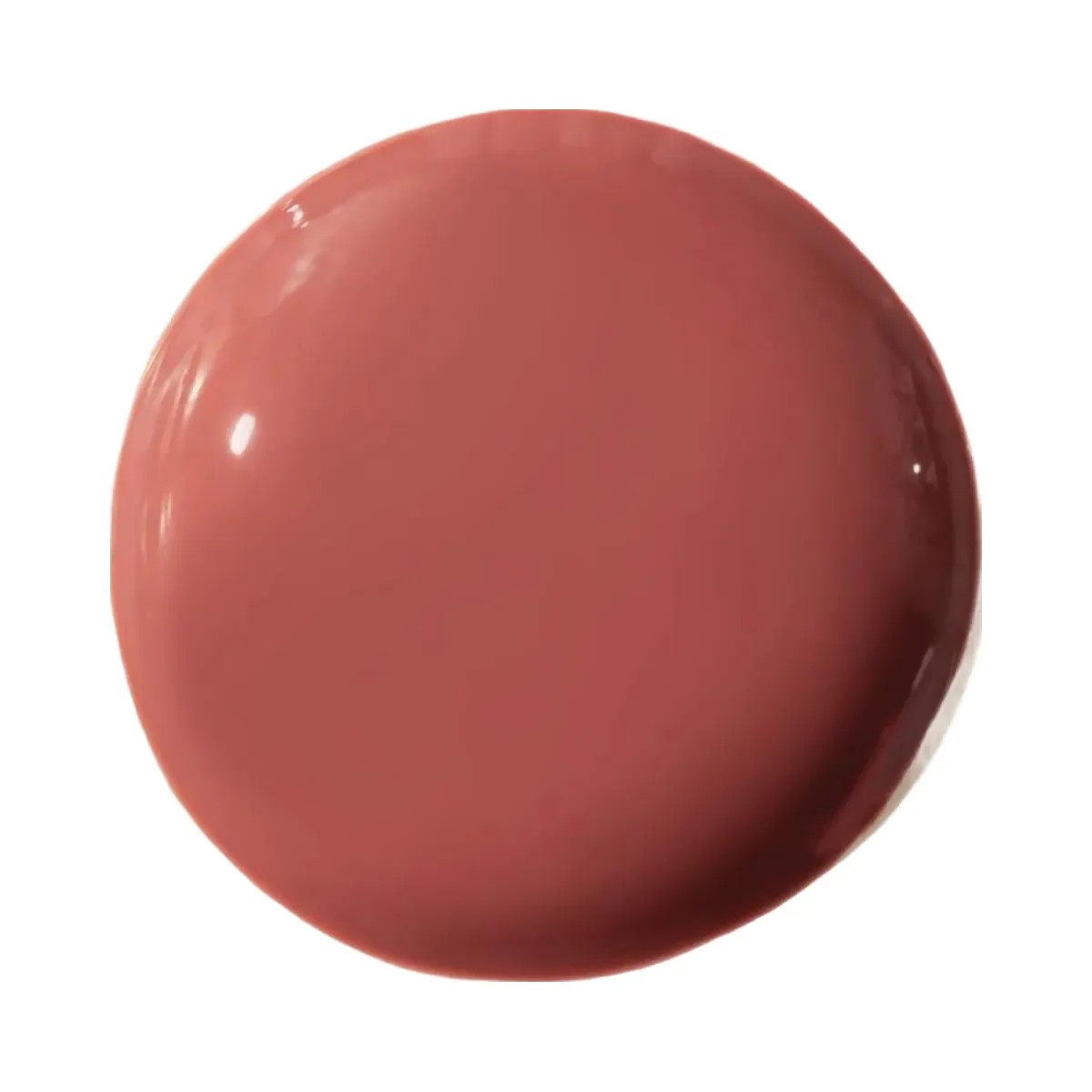 Summer Fridays Dream Lip Oil for Moisturizing Sheer Coverage - Blush Dreams - HypeFly India View 3