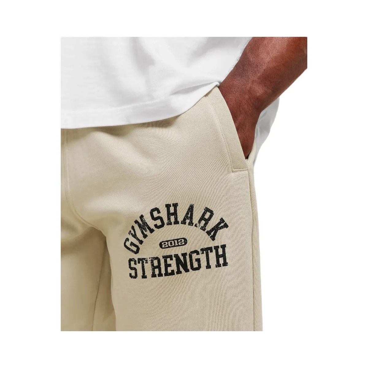 Gymshark 2012 Strength Joggers - Pebble Grey - HypeFly India View 4