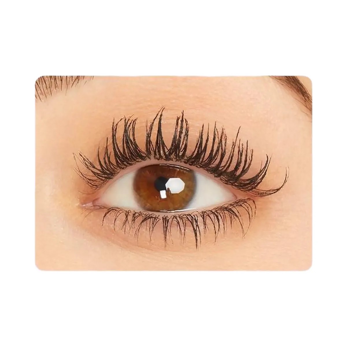 Tarte Kindness Cafe Collector's Set - HypeFly India View 6