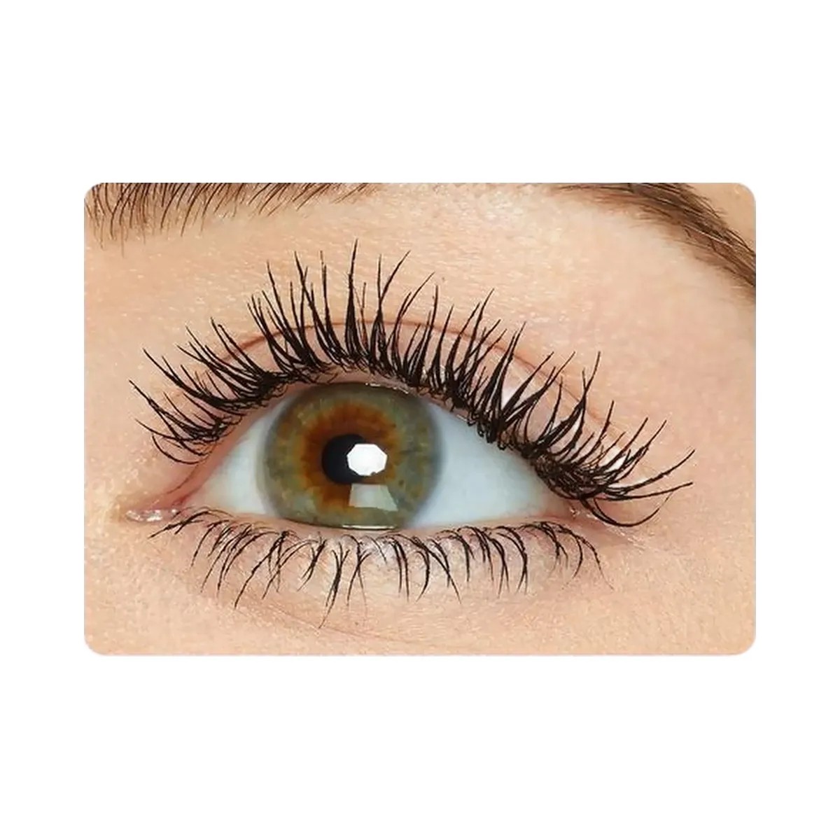 Tarte Kindness Cafe Collector's Set - HypeFly India View 2