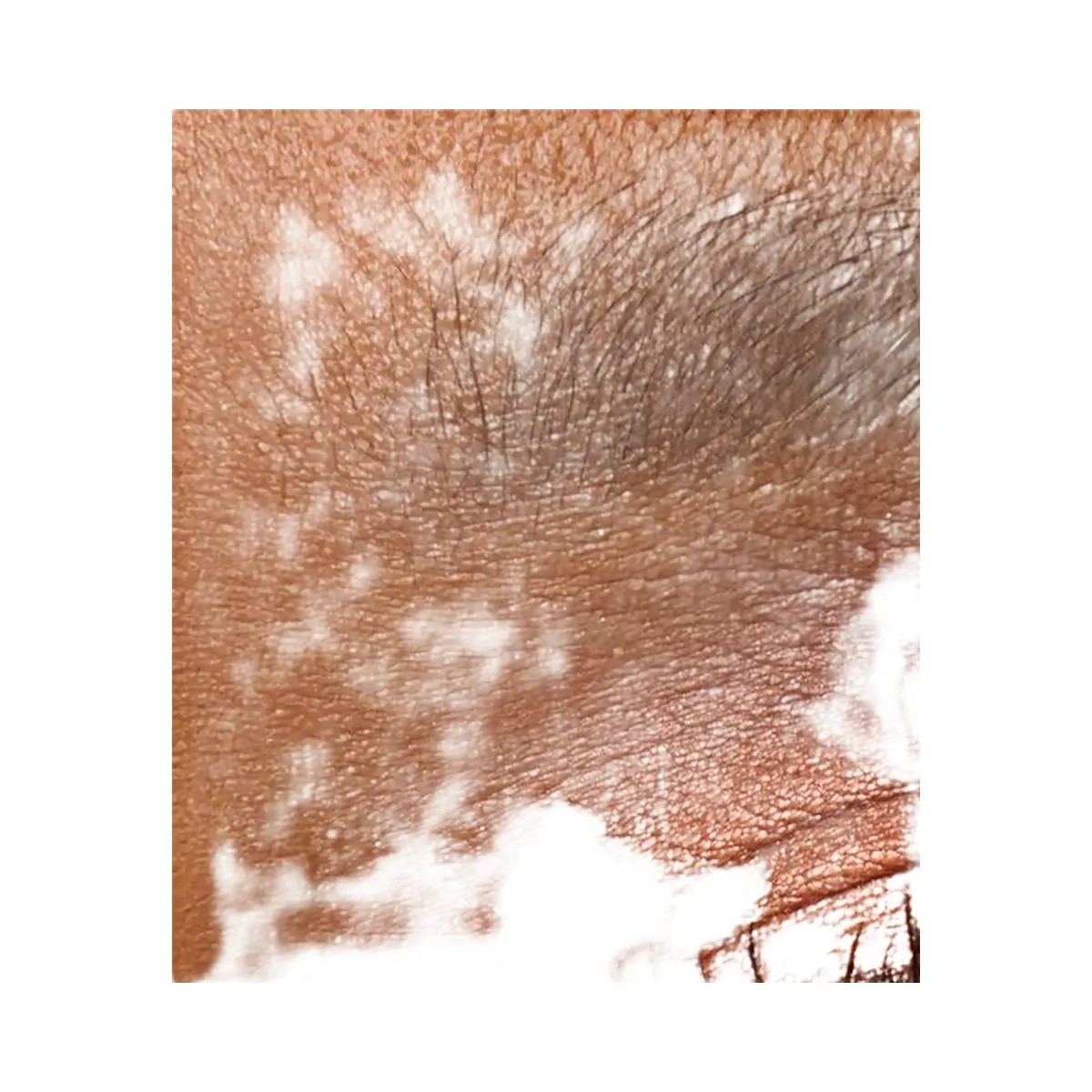 Tarte Maneater After Dark Volume II Eyeshadow Palette - HypeFly India View 4