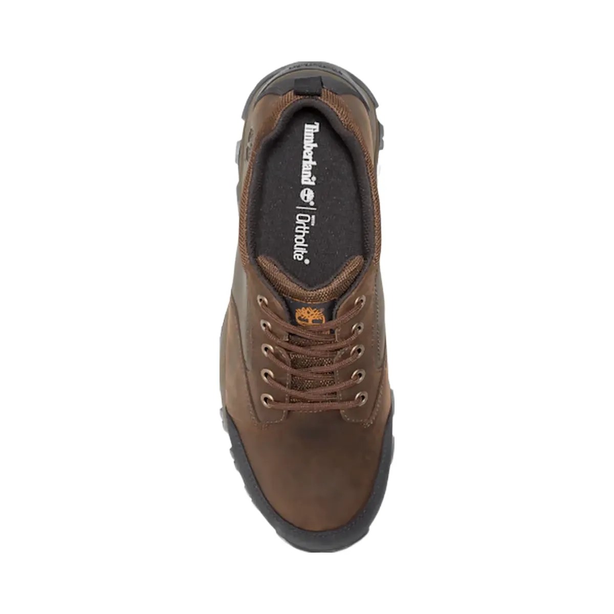 Timberland Mt Maddsen Waterproof Low Hiker Boot Brown Men'S - HypeFly India View 2