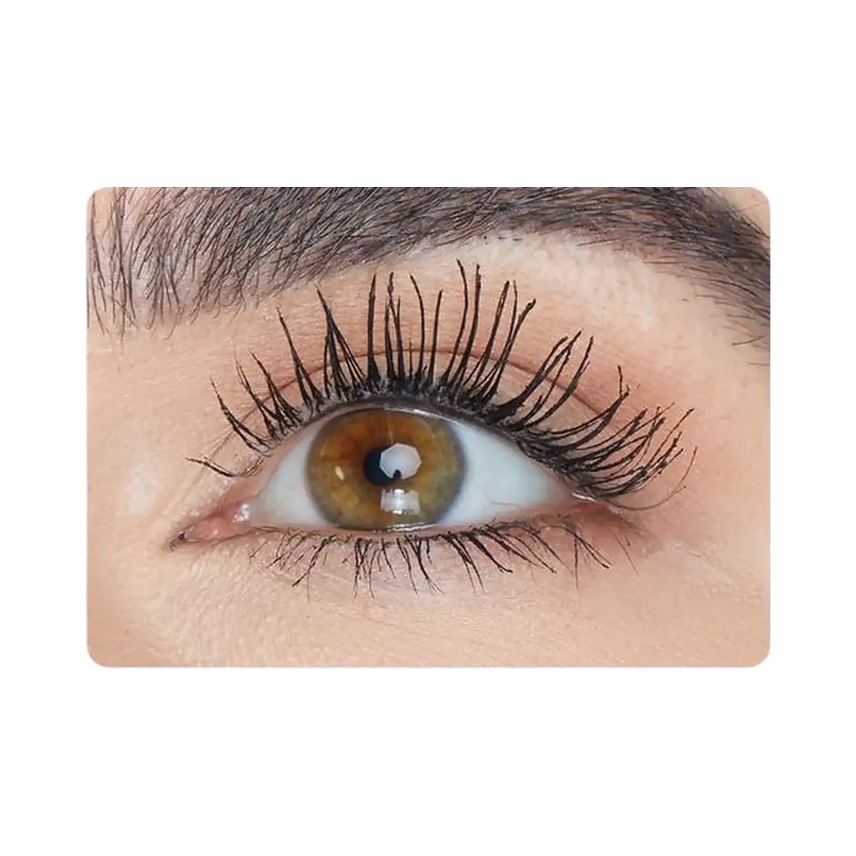 Tarte Maneater Plumped Up Travel Must-Haves - HypeFly India View 3