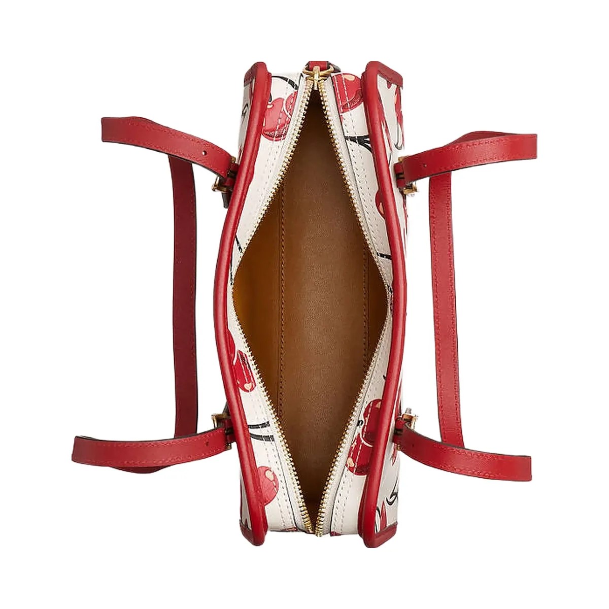 Coach Swing Zip Bag With Cherry Print Brass-Chalk Multi - HypeFly India View 2