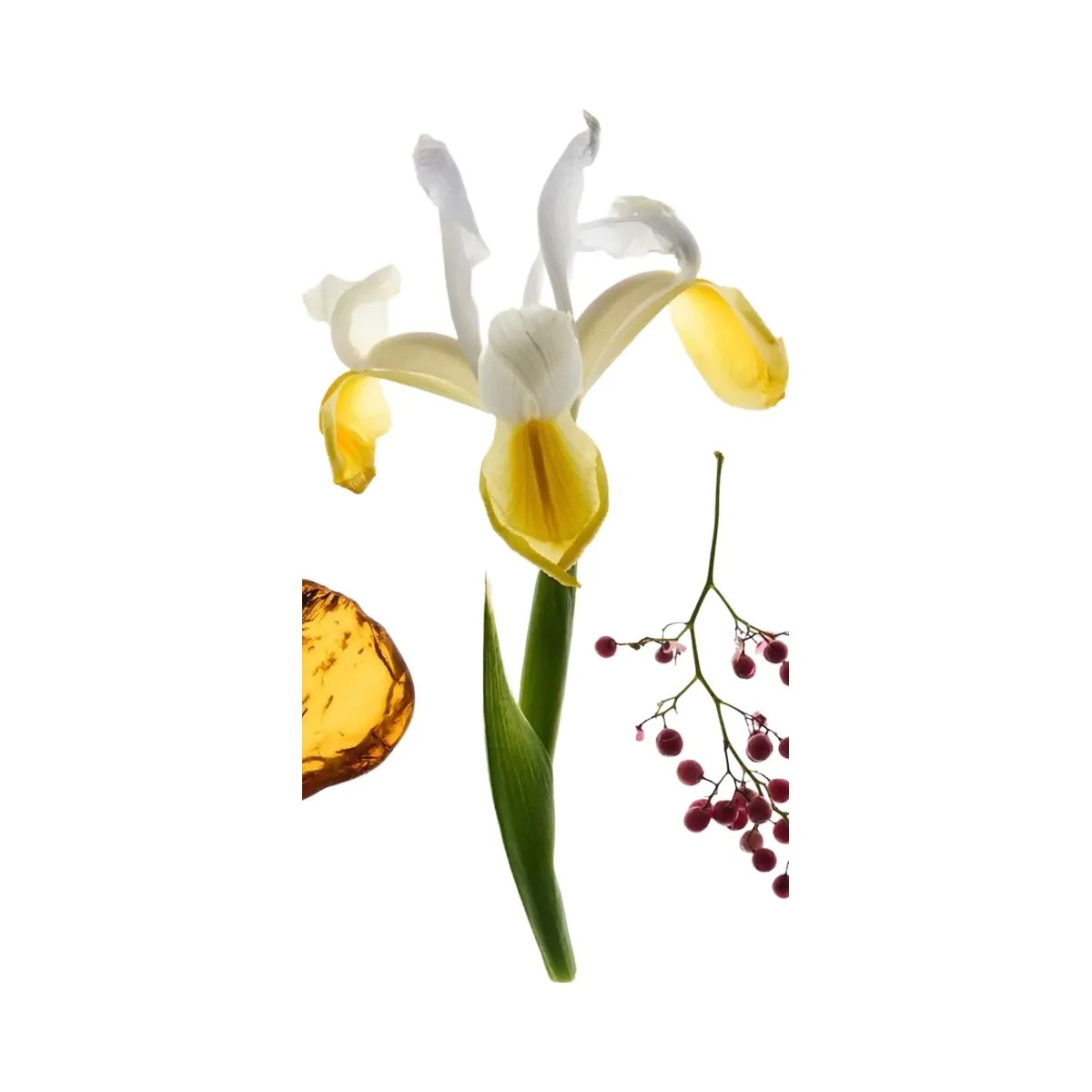 Glossier Deodorant Refillable Case + YOU Refill Set - HypeFly India View 2