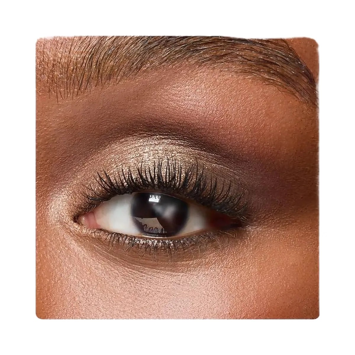 Tarte Maneater Plumped Up Travel Must-Haves - HypeFly India View 5