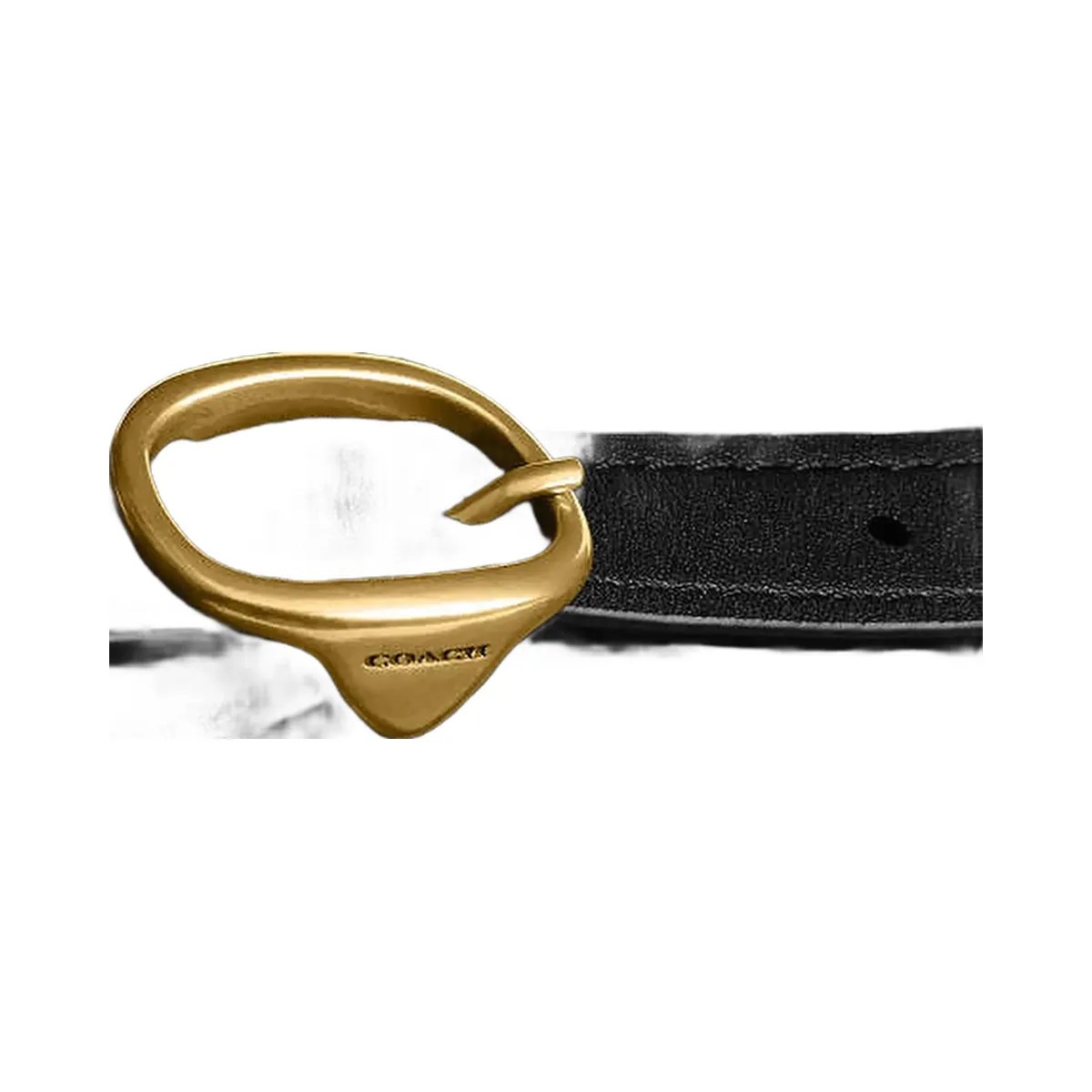 Coach Tabby Backpack With Pillow Quilting Nappa Leather-Brass-Black - HypeFly India View 3