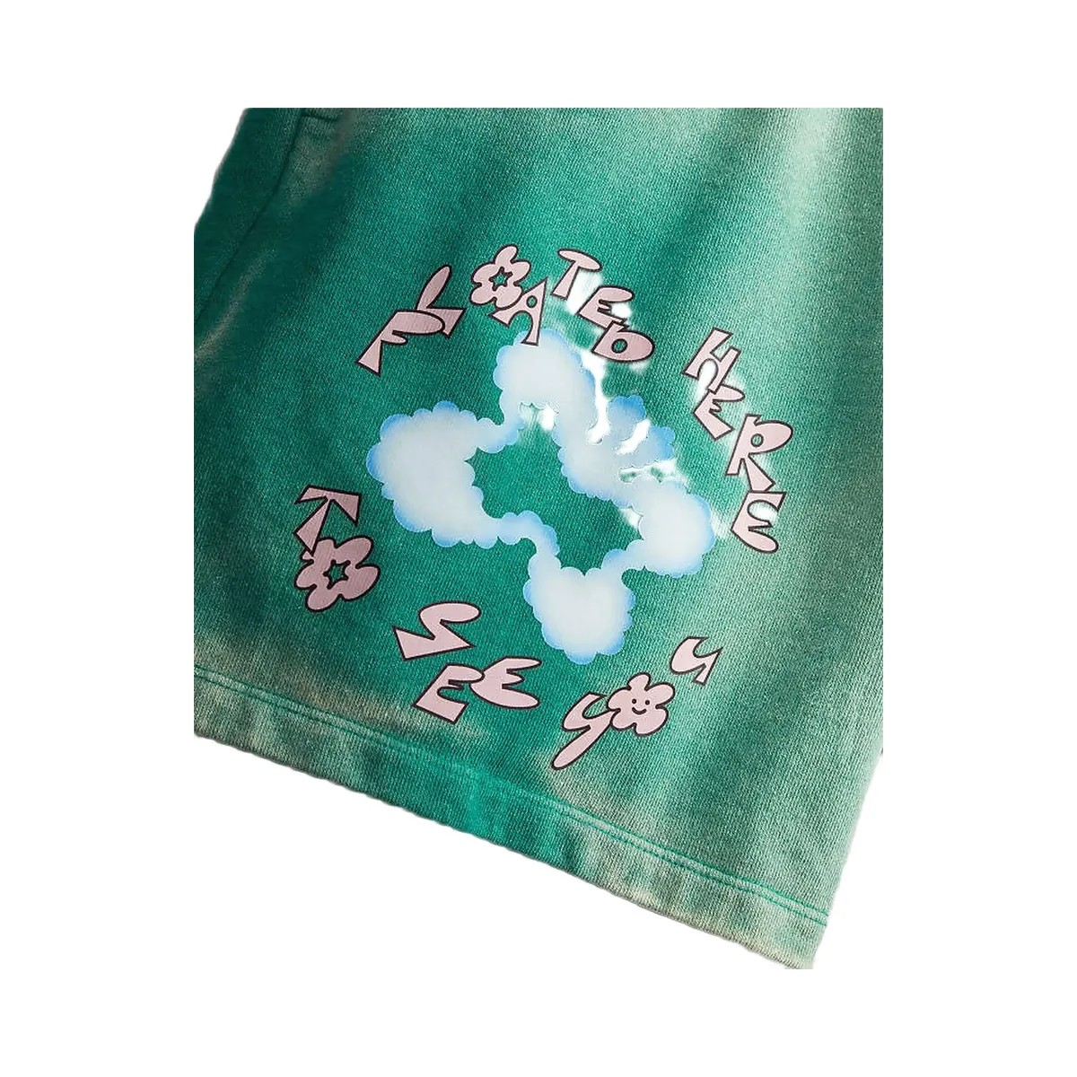 Coach Sweat Shorts With Floating Butterfly Print Green-Light Pink Multi - HypeFly India View 2