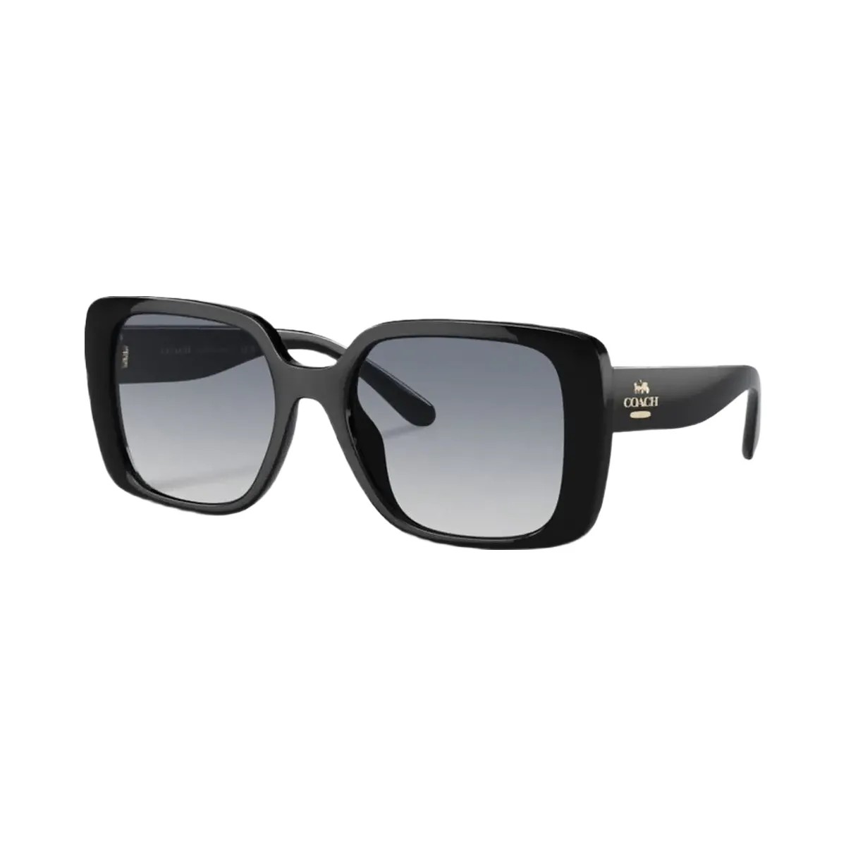 Coach Oversized Square Sunglasses Black - HypeFly India View 4