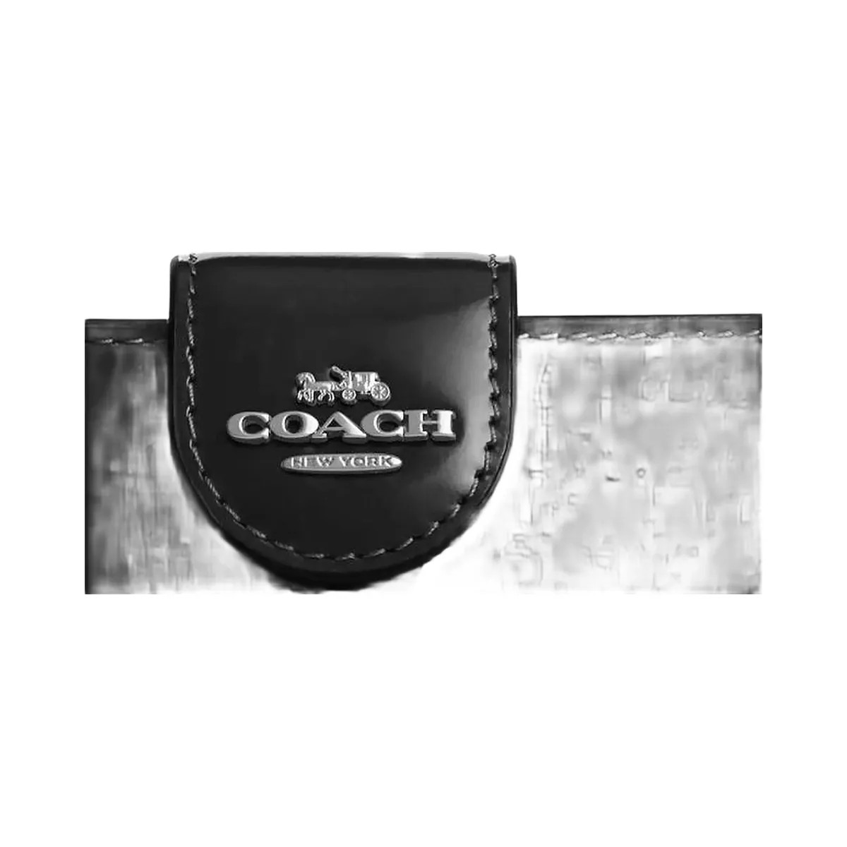 Coach Medium Corner Zip Wallet Novelty Leather-Silver-Black - HypeFly India View 4