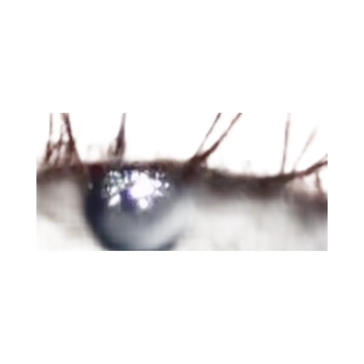 REFY Brow Tint Eyebrow Gel - Chestnut - HypeFly India View 3