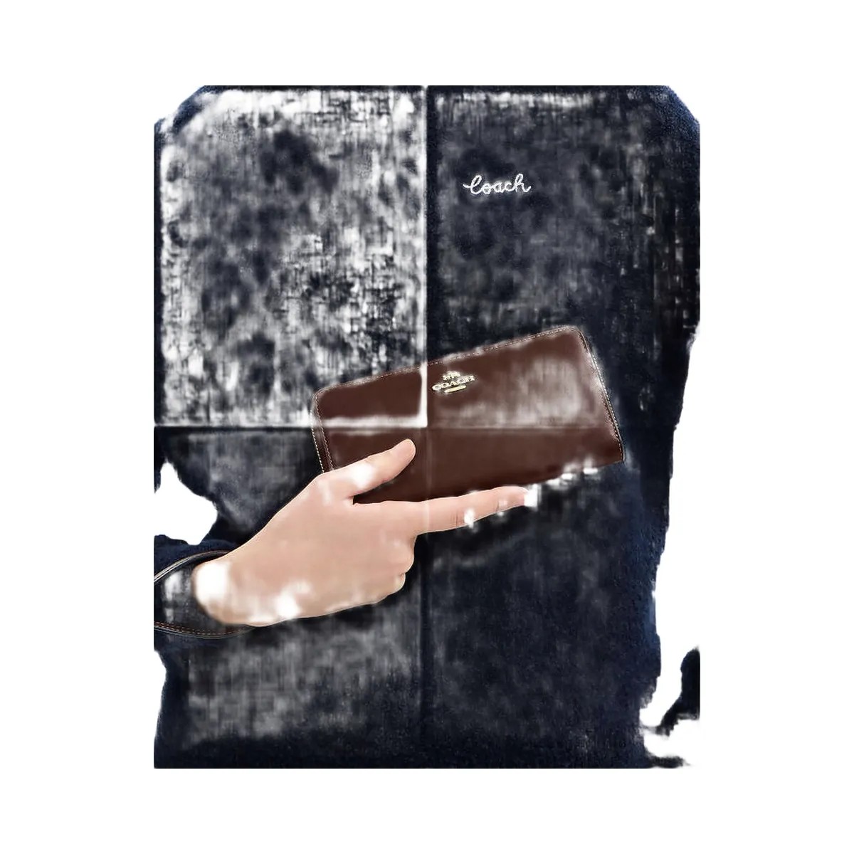 Coach Long Zip Around Wallet Calf Leather-Gold-Maple - HypeFly India View 3