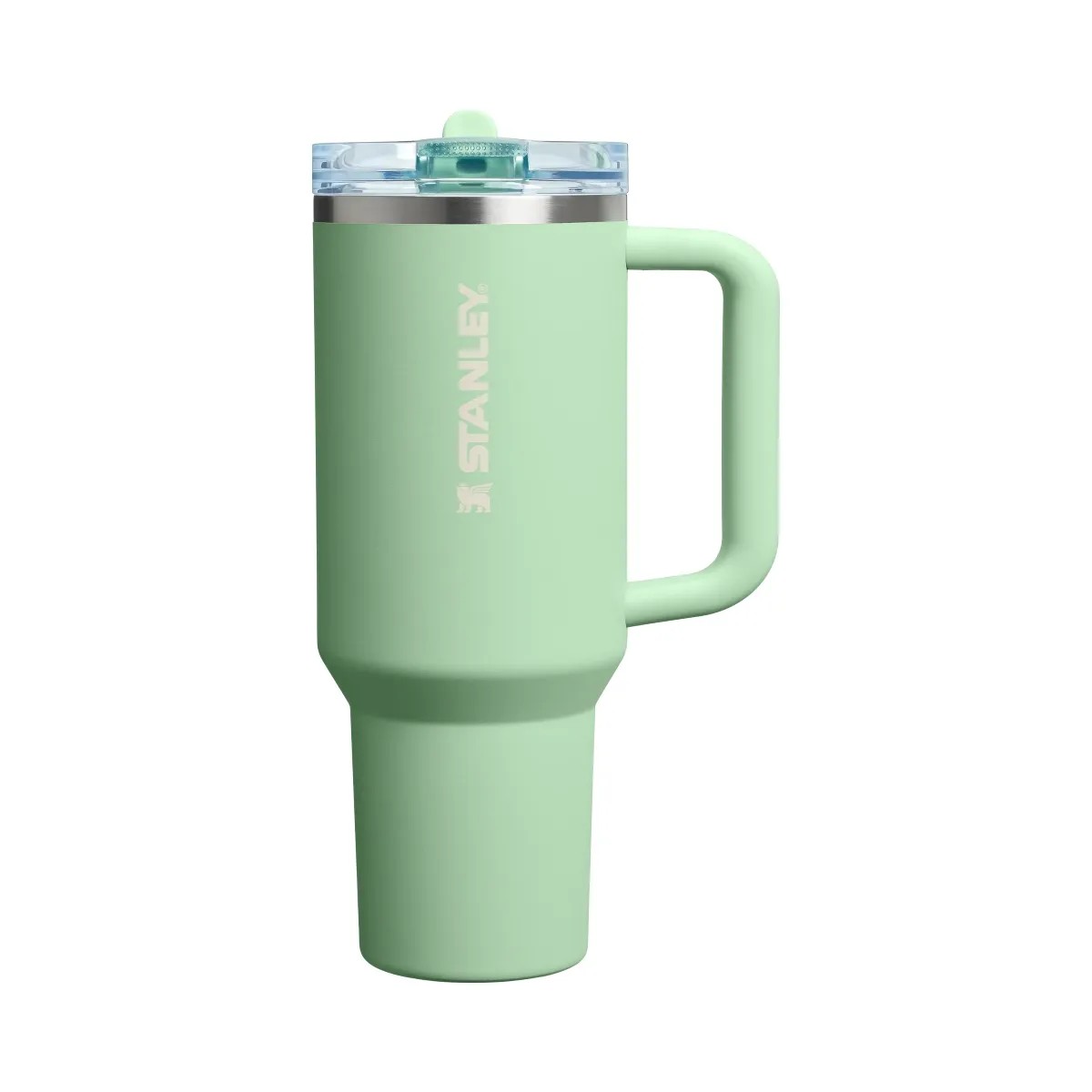 Stanley Quencher ProTour Flip Straw Tumbler (40OZ) Pistachio - HypeFly India View 1