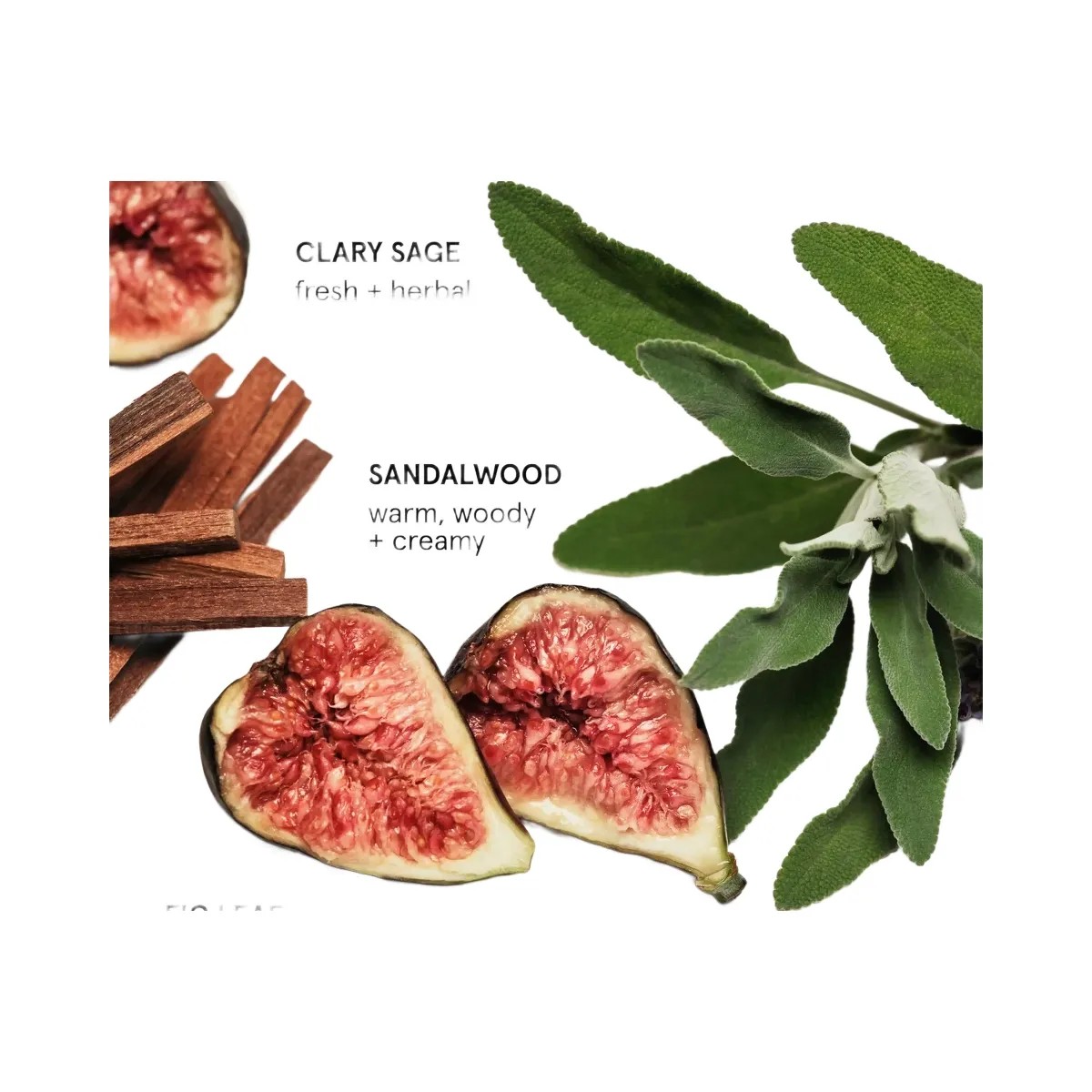 Glossier Sandstone Body & Hair Fragrance Mist - HypeFly India View 4