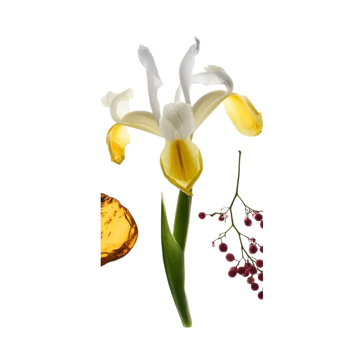 Glossier Crme de You Dry-Touch Body Butter - HypeFly India View 3