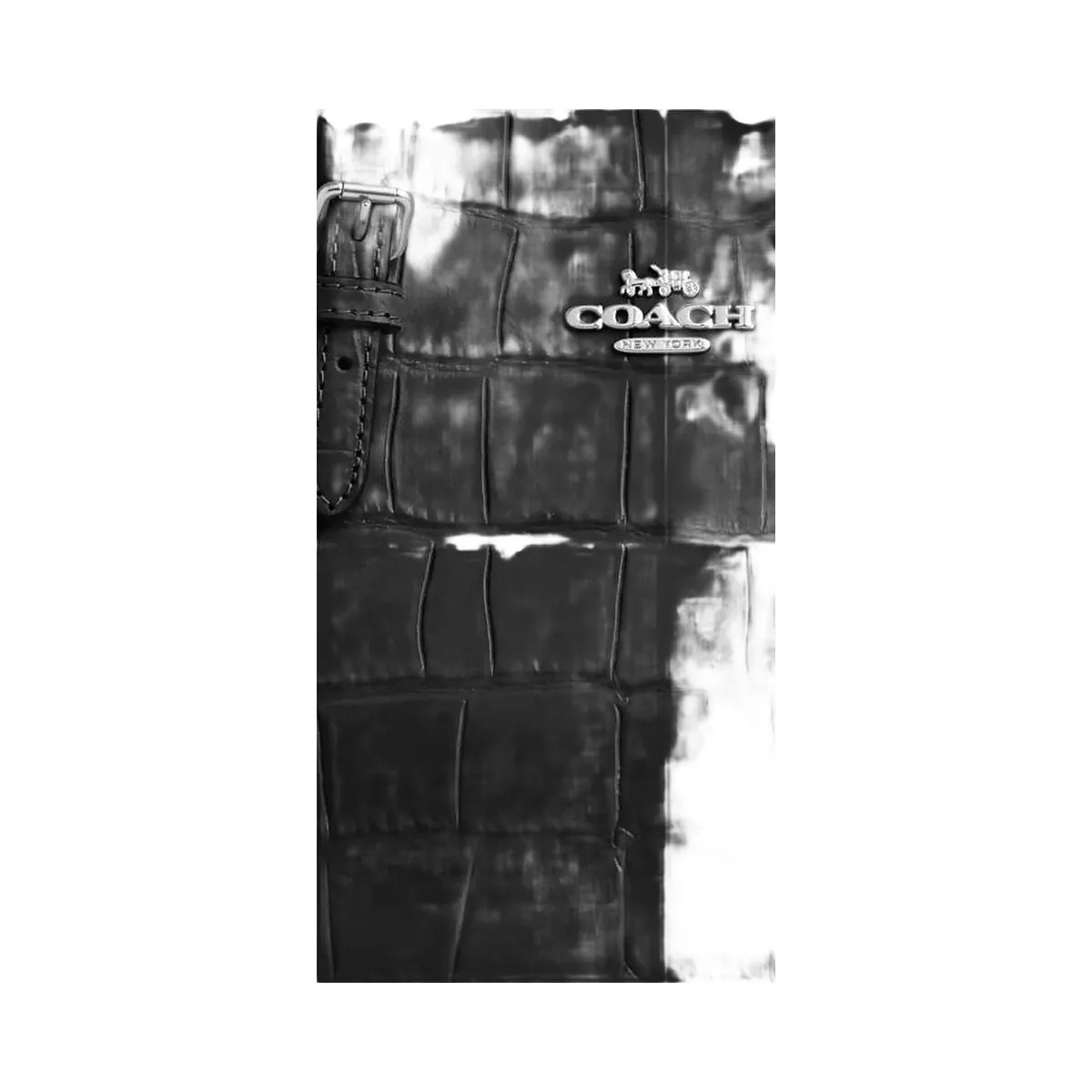 Coach Mollie Tote Bag 25 Novelty Leather-Silver-Black - HypeFly India View 3