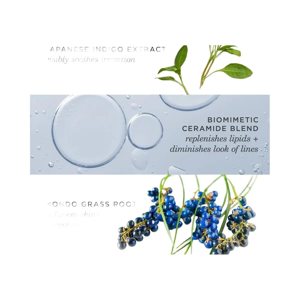 TATCHA Indigo Overnight Repair Redness Reducing Barrier Cream - HypeFly India View 6