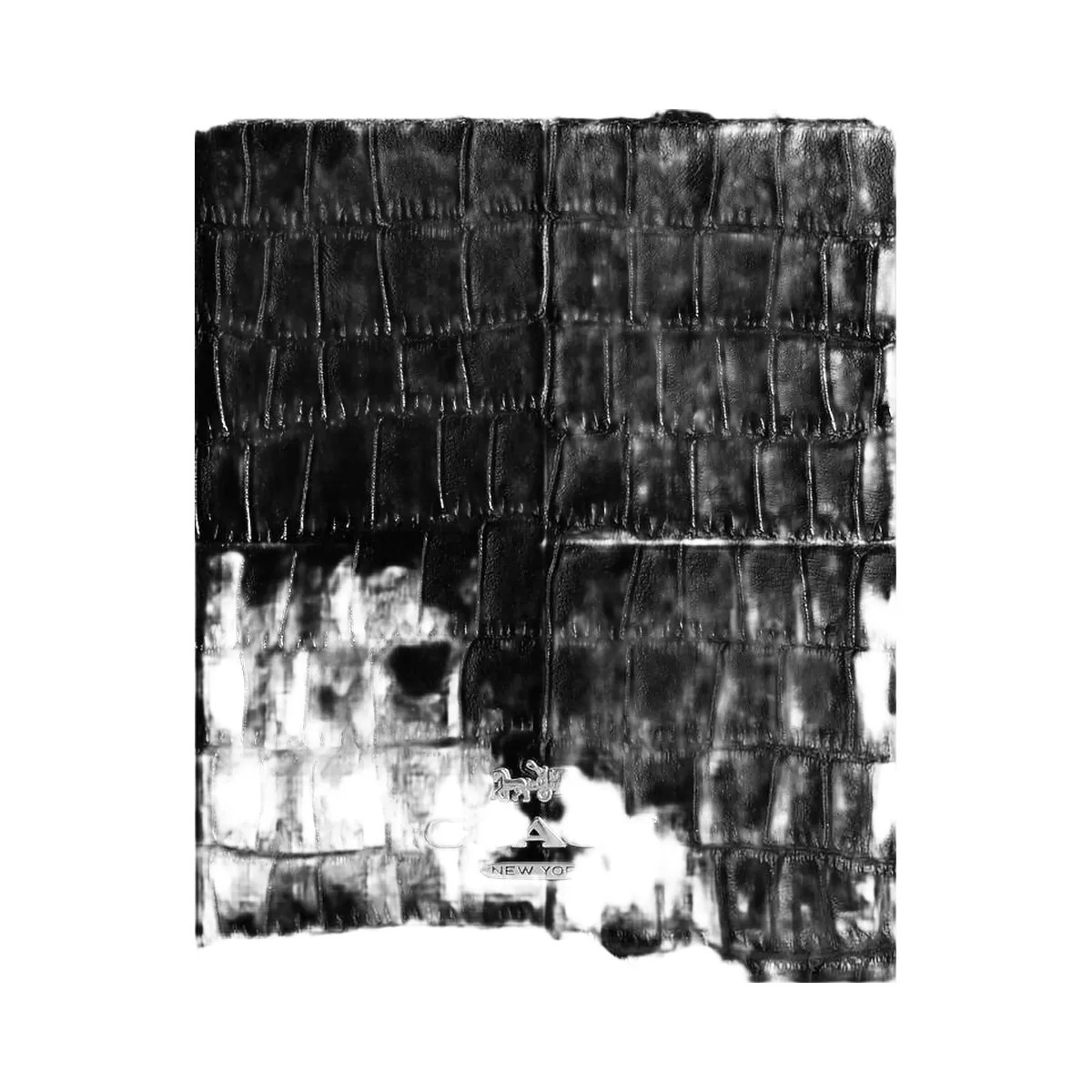 Coach Slim Crossbody Novelty Leather-Silver-Black - HypeFly India View 3