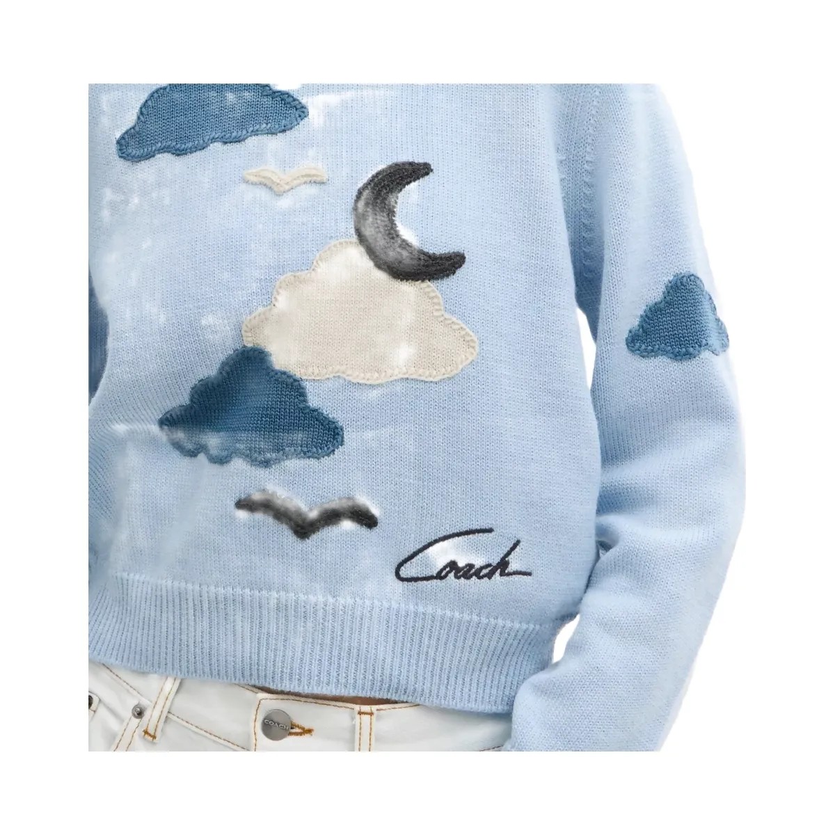 Coach Applique Sweater in Light Blue - HypeFly India View 4