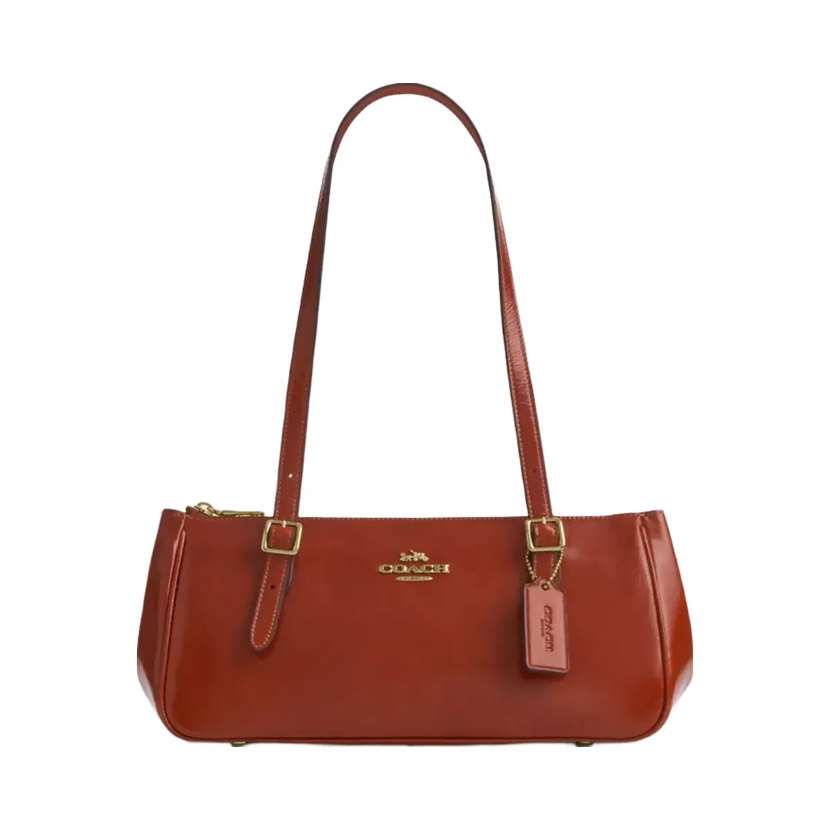 Coach Asher Shoulder Bag in Im Cinnamon - HypeFly India View 1