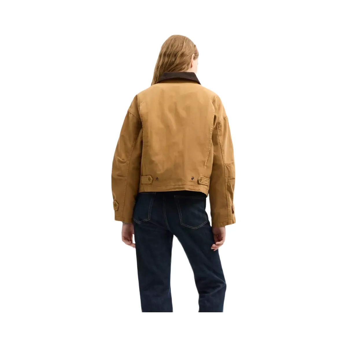Coach Barn Jacket in Chestnut - HypeFly India View 3