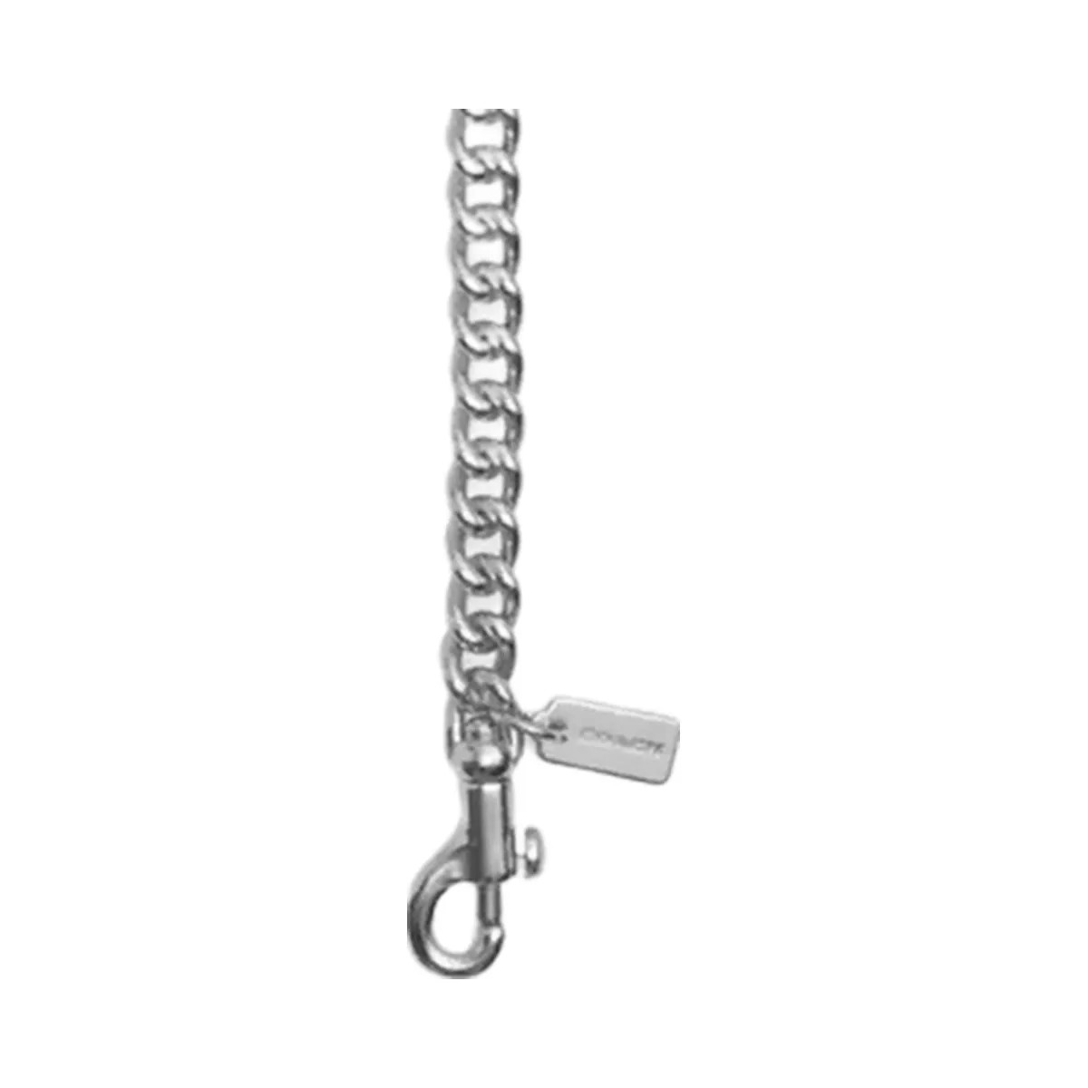 Coach Chain Shoulder Strap in Gunmetal - HypeFly India View 1