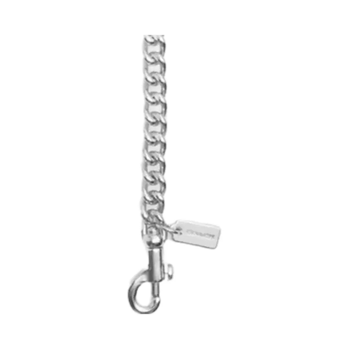 Coach Chain Shoulder Strap in Silver Silver - HypeFly India View 1