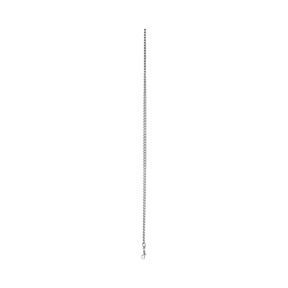 Coach Chain Strap in Silver SILVER 3 - HypeFly India View 1