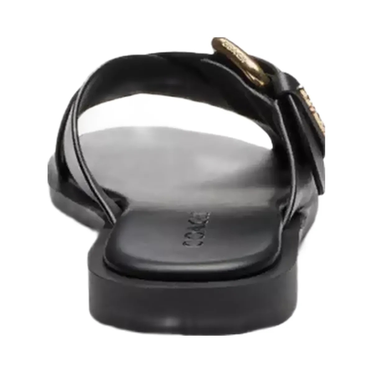 Coach Crisscross Buckle Sandal in Black - HypeFly India View 4
