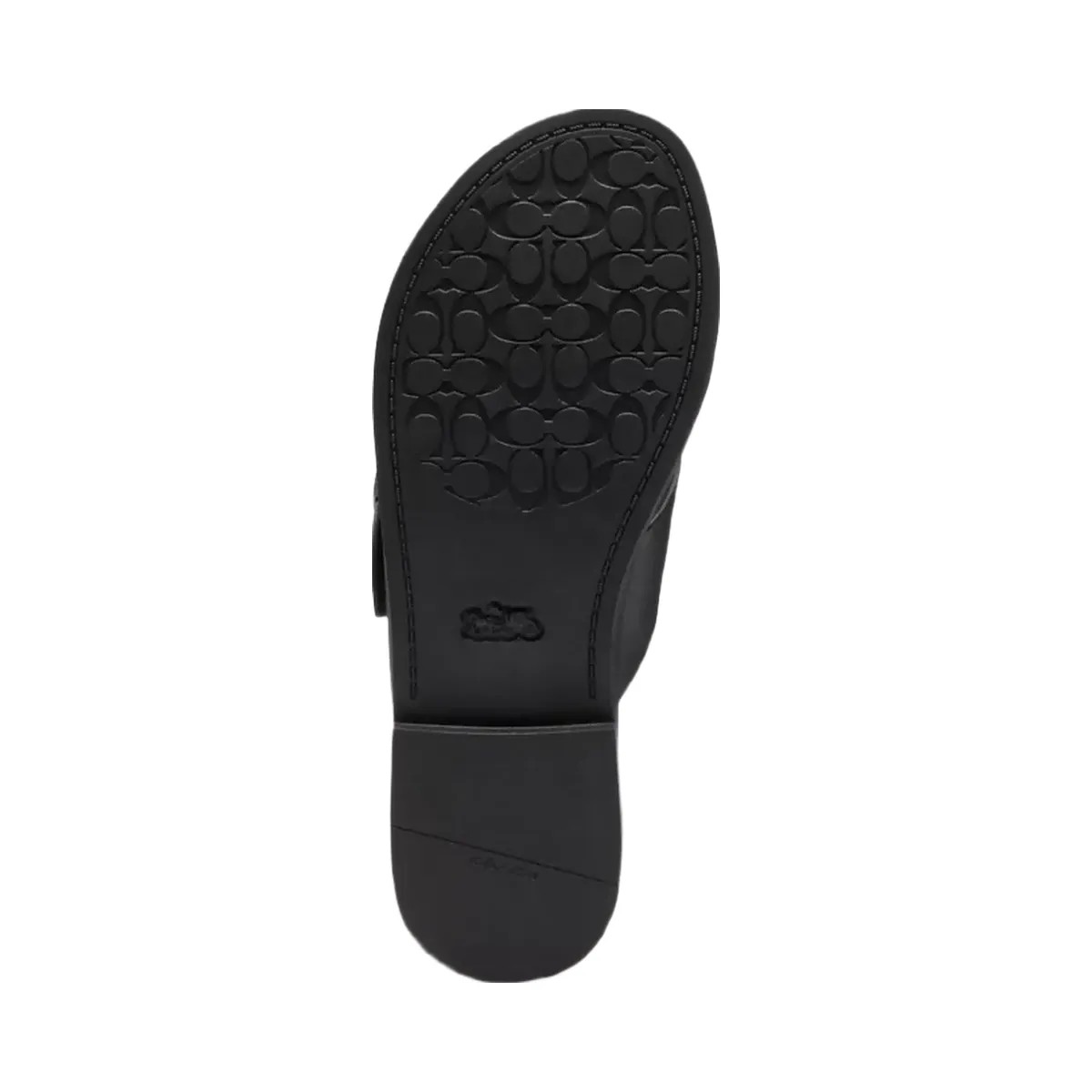 Coach Crisscross Buckle Sandal in Black - HypeFly India View 5