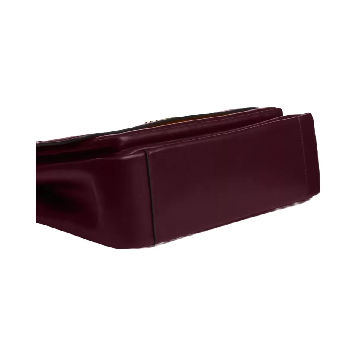 Coach Elodie Crossbody Bag in Gold Dark Wine - HypeFly India View 5