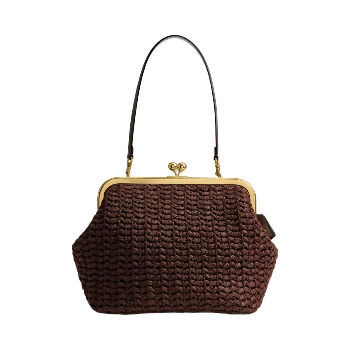 Coach Kisslock Frame Bag 27 in Brass Maple - HypeFly India View 1
