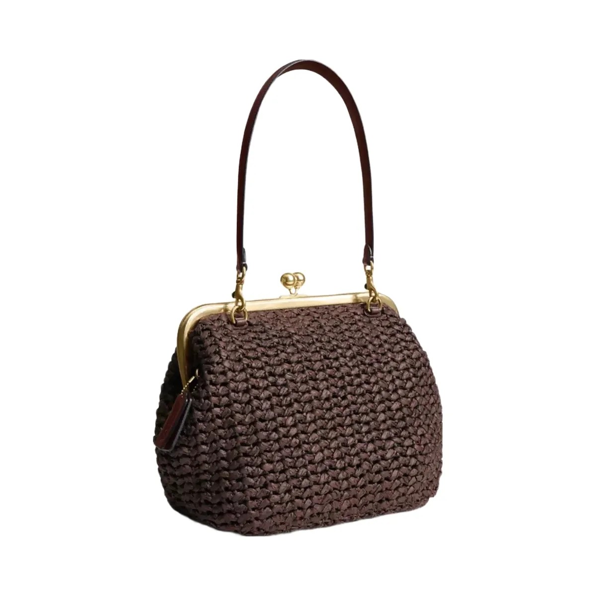 Coach Kisslock Frame Bag 27 in Brass Maple - HypeFly India View 2