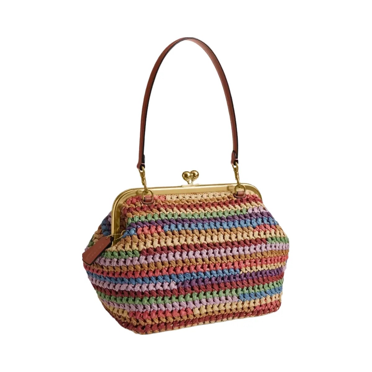Coach Kisslock Frame Bag 27 in Brass Multi - HypeFly India View 2