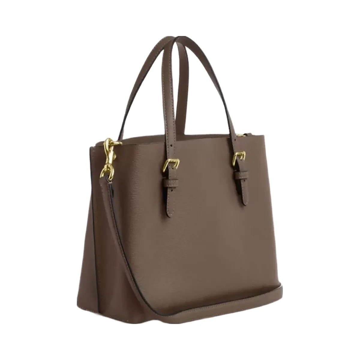 Coach Mollie Tote Bag 25 in Gold Dark Stone - HypeFly India View 2