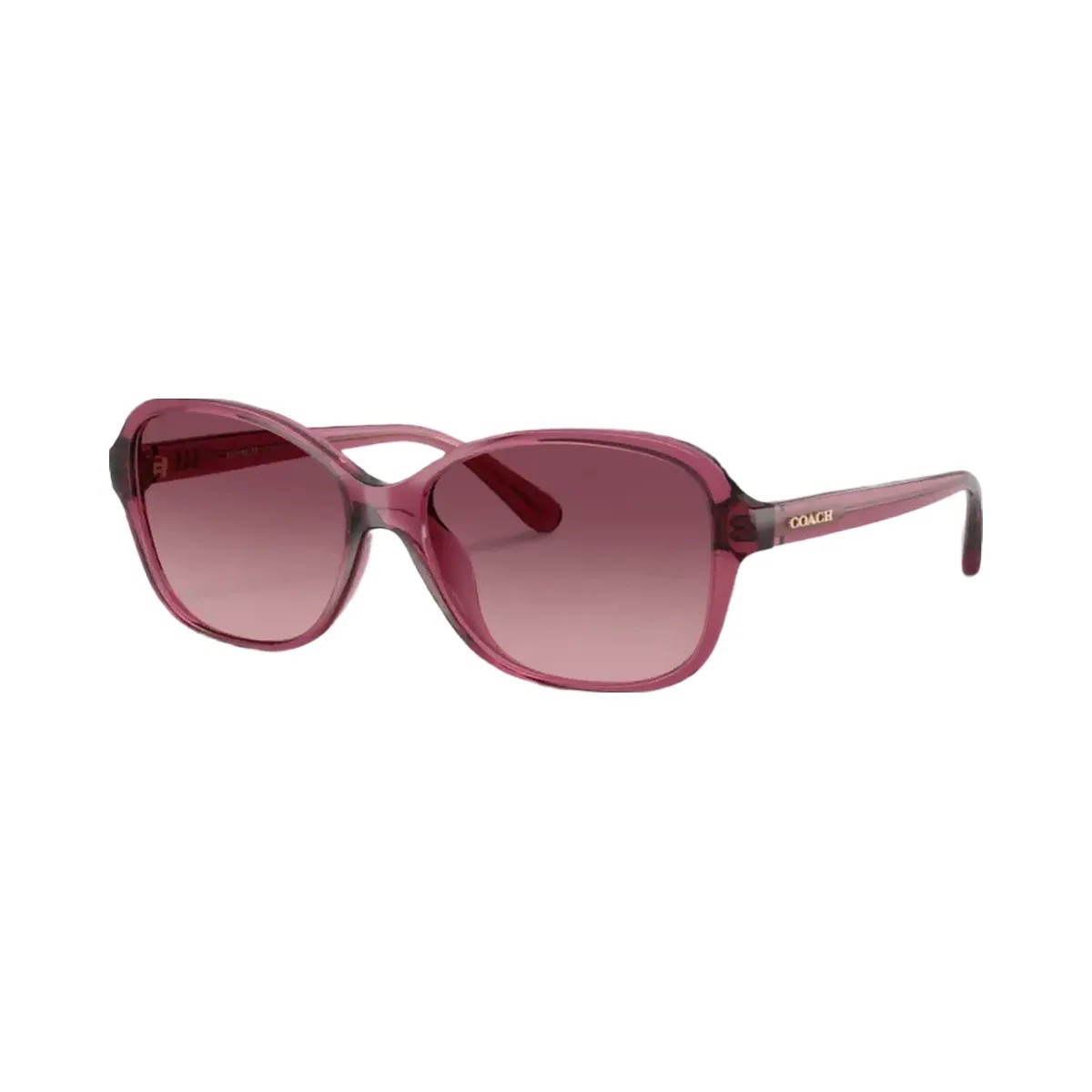 Coach Oversized Oval Sunglasses in Berry - HypeFly India View 1