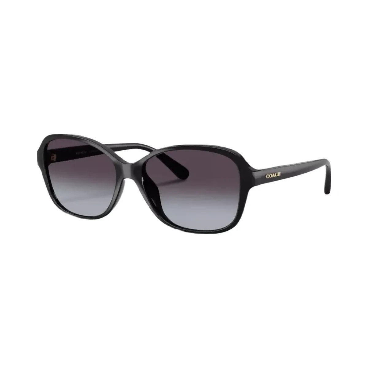 Coach Oversized Oval Sunglasses in Black - HypeFly India View 1