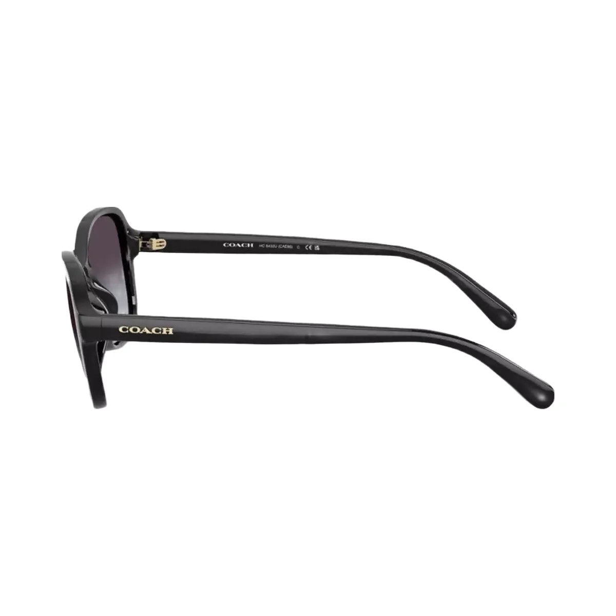 Coach Oversized Oval Sunglasses in Black - HypeFly India View 4