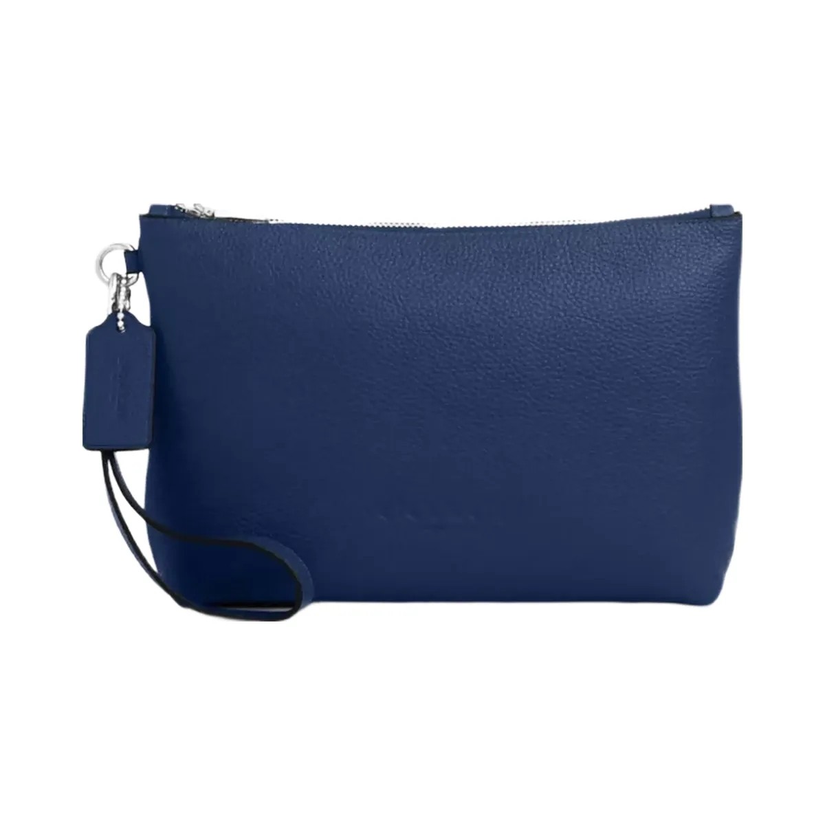 Coach Pouch in Silver Deep Blue - HypeFly India View 1