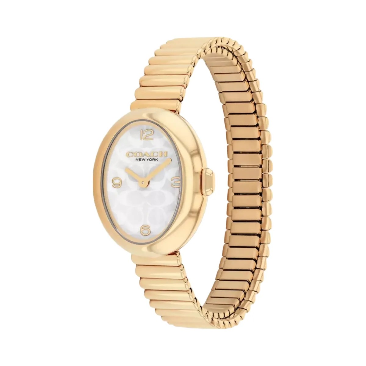 Coach Sammy Watch, 22 Mm in Gold - HypeFly India View 2
