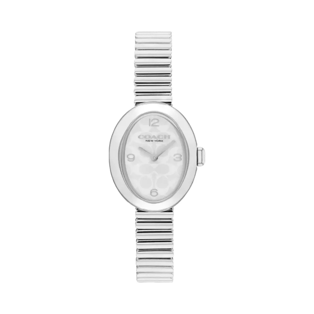 Coach Sammy Watch, 22 Mm in Stainless Steel - HypeFly India View 1