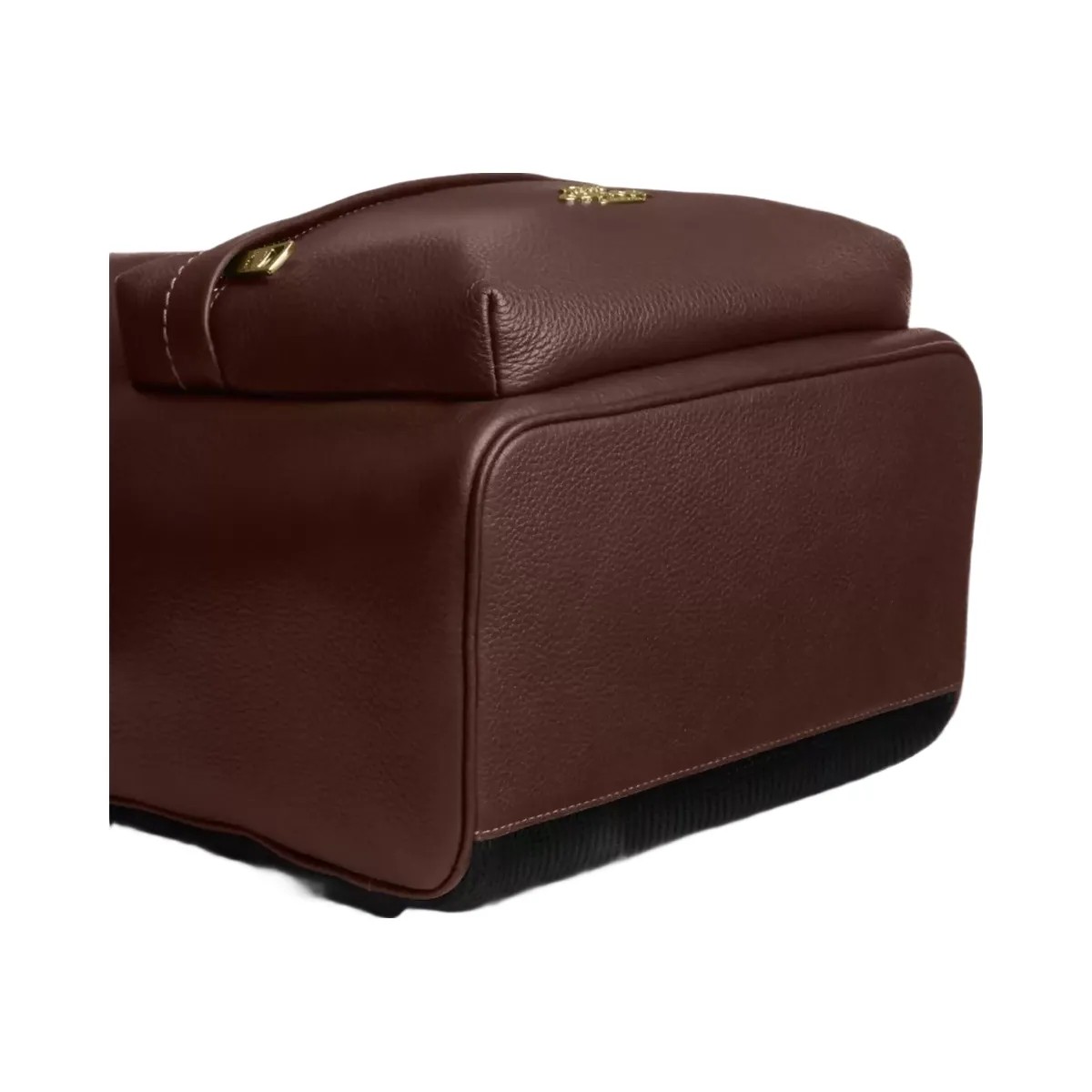 Coach Taylor Small Backpack in Gold Maple - HypeFly India View 5
